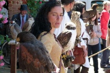 Esposizione nel cortile del Castello (Foto di Motta Marco)